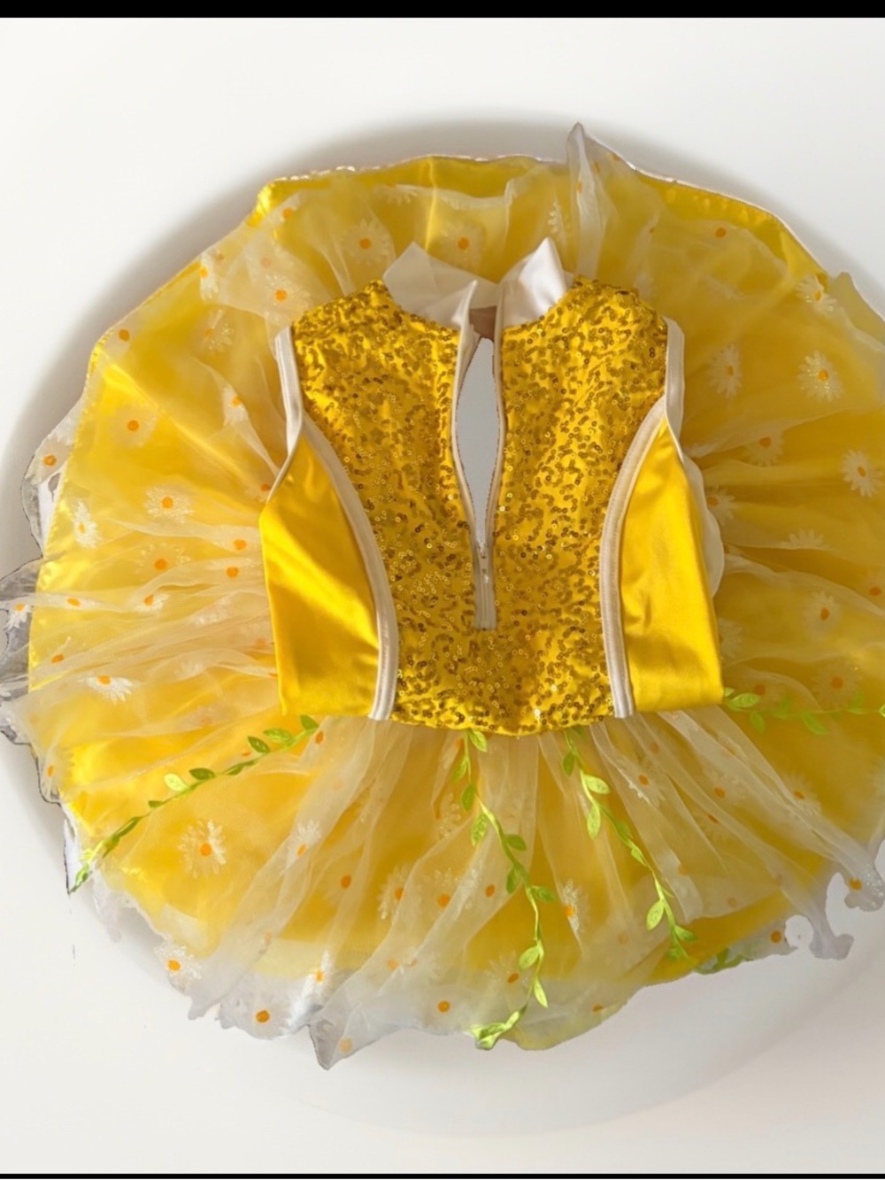 Sequin Bodysuit homemade by quality seamstress, tutu by Great Pretenders Sz. 7/8